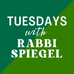 Tuesdays with Rabbi Spiegel