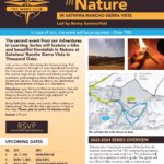 Men's Club Adventures in Learning - Havdallah in Nature