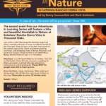 Men's Club Presents Adventures in Learning - Havdallah in Nature